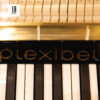 Plexibel P125U Special Black & Gold 105Plexibel P125U Special Black & Gold 222