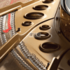 Fazioli F308 concert grand