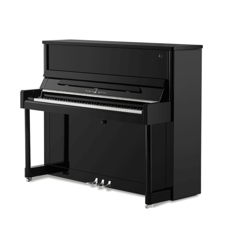 Yangtze River CJ-E Studio Upright Ebony High Polish - CJ Series