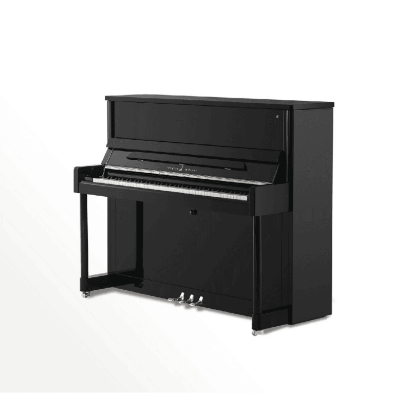 Yangtze River IPCA Studio Upright Ebony High Polish - IPC No.1 Series